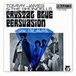 Tommy James and The Shondells Crystal Blue Persuasion | Pass the Paisley