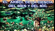 El Arbol de la ciencia del bien y del mal - YouTube