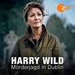 Harry Wild - Mörderjagd in Dublin: Harry Wild - Mörderjagd in Dublin ...