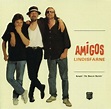 Lindisfarne - Amigos (1995, CD) | Discogs
