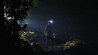 BBC Two - The Dark: Nature's Nighttime World