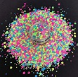 LUCID neon chunky Dot Glitter – Sparkly MeMaw LLC