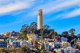 Coit Tower View