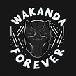 Wakanda Forever by hypernerdmaersky | Black panther marvel, Black ...