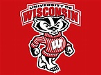 40 Signs You Went To The University Of Wisconsin-Madison | University ...