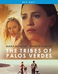 The Tribes of Palos Verdes DVD Release Date April 10, 2018
