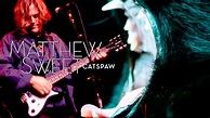 Matthew Sweet: Year of the Cat - Rock and Roll Globe