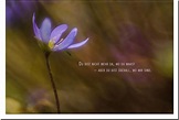 metALUm Trauerkarte ABSCHIED- Blaue Blume - 3501005