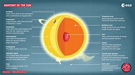 ESA - Anatomy of the Sun