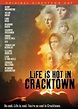 Life Is Hot in Cracktown (2009)