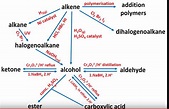 Organic Chemistry Reaction Pathways Diagram | Quizlet