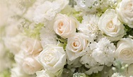 Flor de rosas blancas de boda mixta, fondo floral 2781627 Foto de stock ...