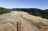 Monte Bello Open Space Preserve: Highs and lows