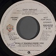 Gary Wright - Really Wanna Know You (1981, Vinyl) | Discogs