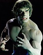 LOU FERRIGNO in INCREDIBLE HULK, THE-TV -1978-. Photograph by Album ...