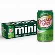 Canada Dry : Soda & Pop : Target