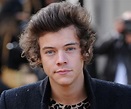 Harry Styles Biography - Facts, Childhood, Family Life & Achievements