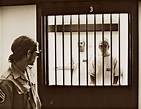 A Look Back at the Stanford Prison Experiment - Stanford Magazine - Medium
