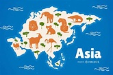 Asia Political Map Of Asia Stock Illustration Illustr - vrogue.co
