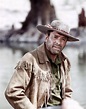 Burt Lancaster | Western film, Western movies, Western hero