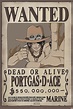 One Piece - Wanted Ace Poster, Affiche | All poster chez Europosters