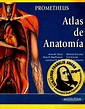 Prometheus. Atlas de Anatomía – Anne M. Gilroy | FreeLibros