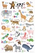 Animal Alphabet Illustrated Poster Educational Nursery Art | Etsy Ireland