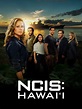 NCIS: Hawai'i - Full Cast & Crew - TV Guide