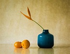 Still Life Photography Blue Vase By Jacqueline Hammer 8 - Full Image