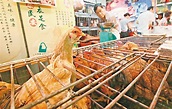 雞販喜賣活雞 市民「還得神落」 - 香港文匯報