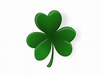 How to Draw a Shamrock: 11 Steps (with Pictures) | Irish symbols ...