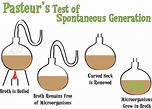 Spontaneous Generation: A Brief History Of Disproving It. | AmoebaMike