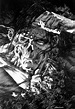 Bernie Wrightson - Frankenstein | Bernie wrightson, Horror art ...