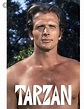 Tv Guide November 1966 Ron Ely As Tarzan Tv Guide Tarzan Tarzan - Vrogue