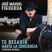 Te Besaría Hasta La Conciencia (Versión Banda), Jose Manuel Figueroa ...