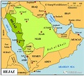 大国多面性：沙特改革的表与里