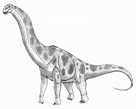 Argentinosaurus by TyrannoNinja on DeviantArt