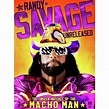 WWE: Randy Savage Unreleased - The Unseen Matches Of The Macho Man (DVD ...