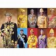 sultan perak family - Google Search | Johor, Royal family, King & queen