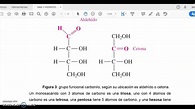 hidratos de carbono 2 - YouTube