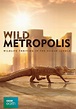 Wild Metropolis - streaming tv series online