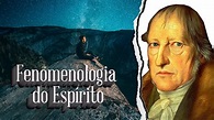 Fenomenologia do Espírito HEGEL Resumo - YouTube