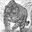 Top 100 + Jaguar dibujo a lapiz facil - Ginformate.mx
