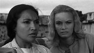 Thunder Island (1963) | MUBI