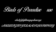 Birds of Paradise free font
