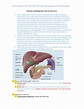 Liver Function and Diagnostic Tests - Studocu