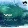 Chicane - Saltwater (1999, Cardboard Sleeve, CD) | Discogs