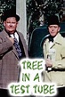 The Tree in a Test Tube (1942) — The Movie Database (TMDB)