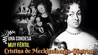 Cristina de Mecklemburgo-Güstrow, Una Condesa Muy Fértil, Condesa ...