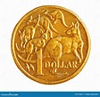 1 Australian Gold Coin Stock Photos - Free & Royalty-Free Stock Photos ...